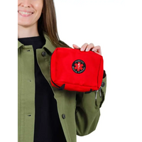 Viking-themed diabetes awareness iron-on patch displayed on a red medical supply bag.