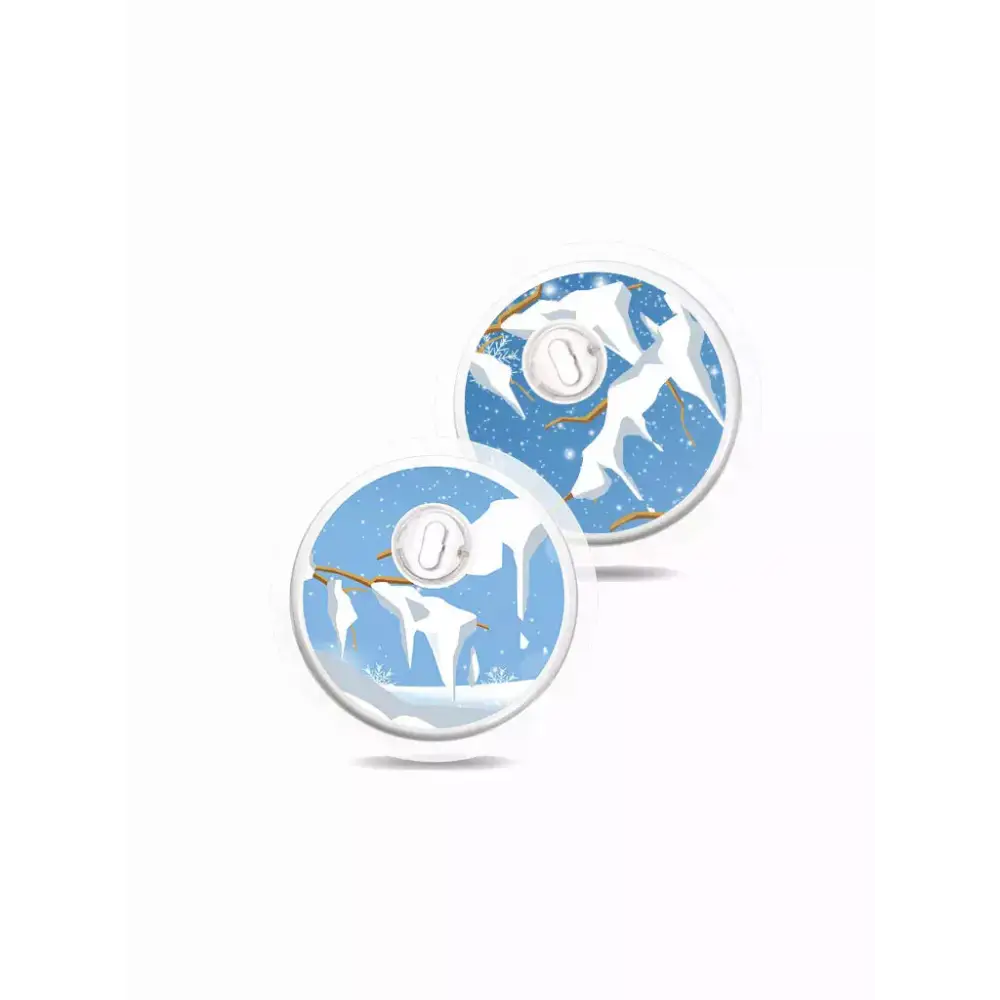 Two round high quality Winter-themed Freestyle Libre stickers for sensor